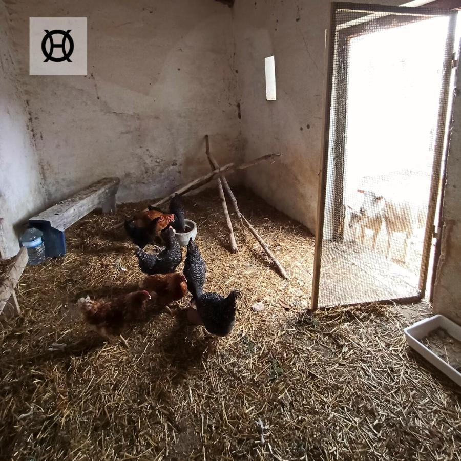 Herdade Da Ordem Cabeço de Vide Dış mekan fotoğraf